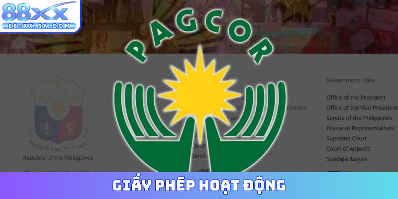 Giấy phép hoạt động
